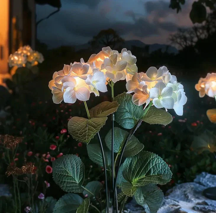 Ethere Hydrangea Glow - Image 3