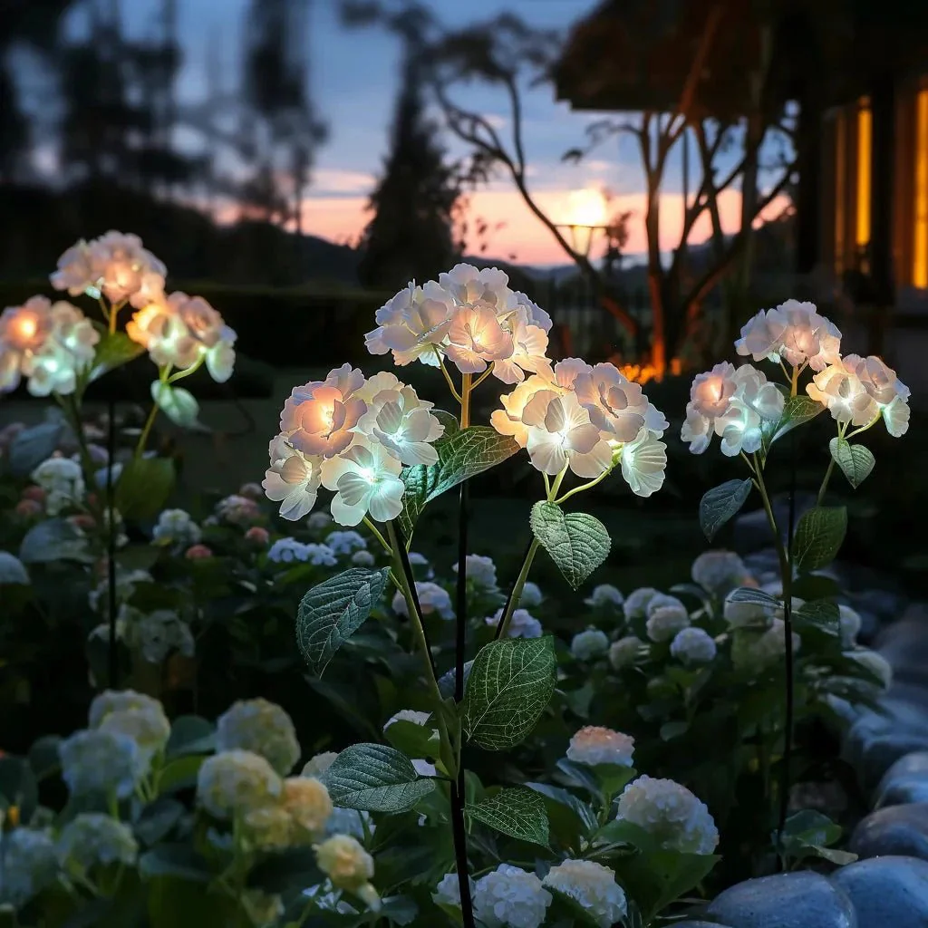 Ethere Hydrangea Glow - Image 4