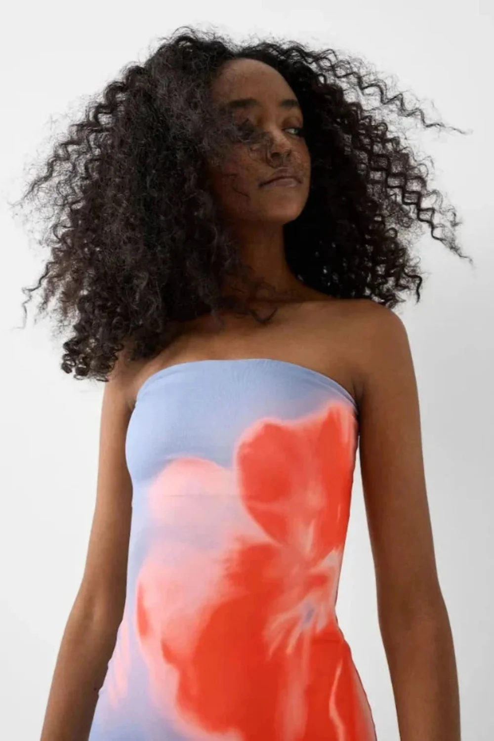 Willow - Image 3